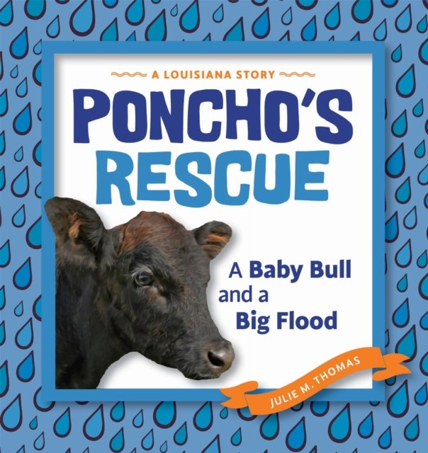 Poncho''s Rescue