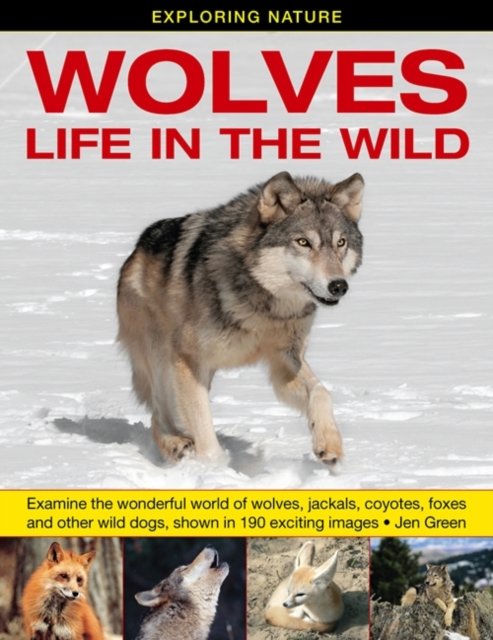 Exploring Nature: Wolves - Life In The Wild