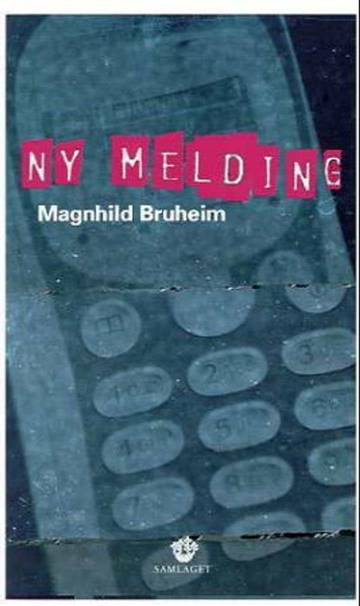 Ny melding - roman