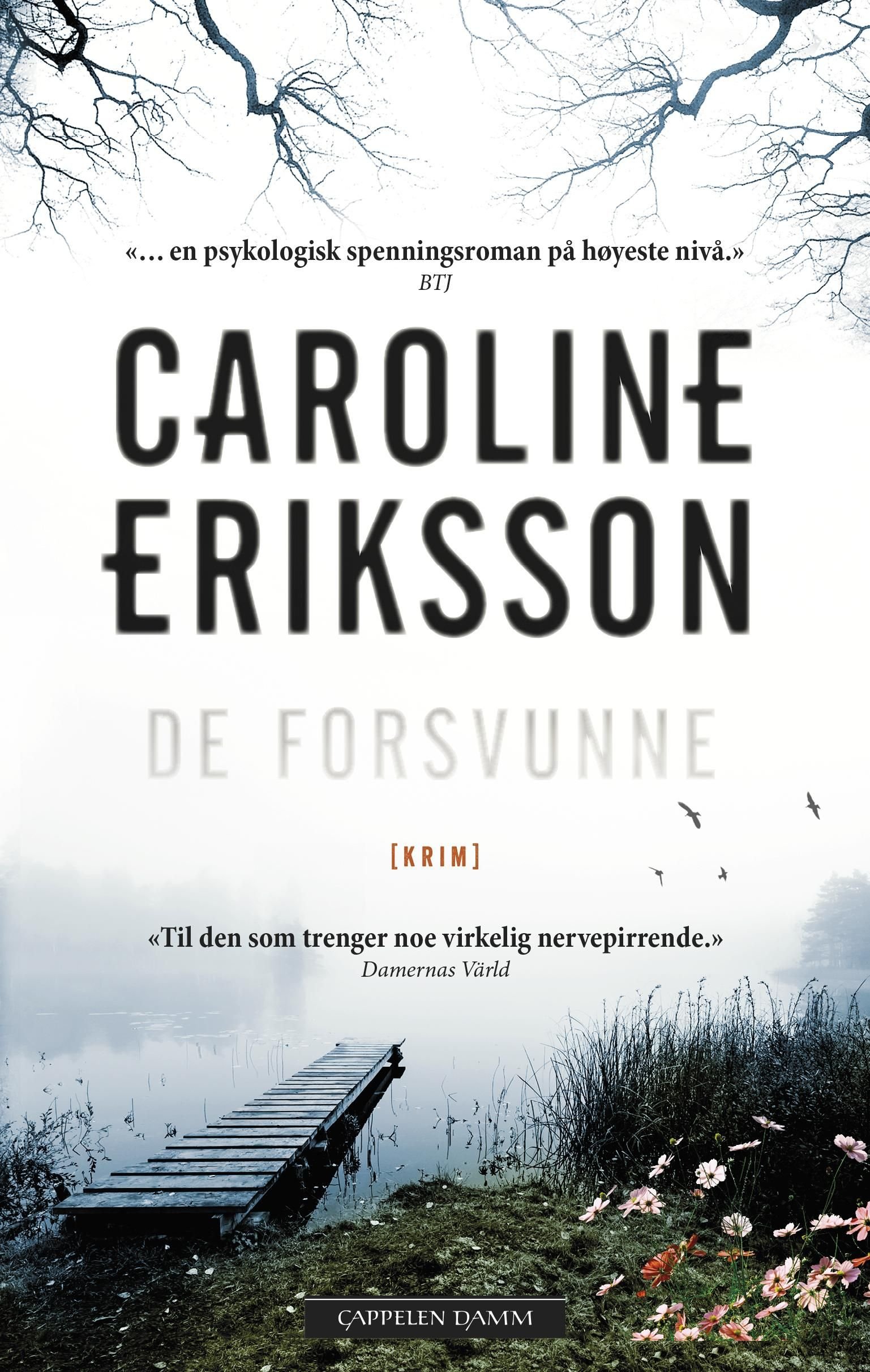 De forsvunne
