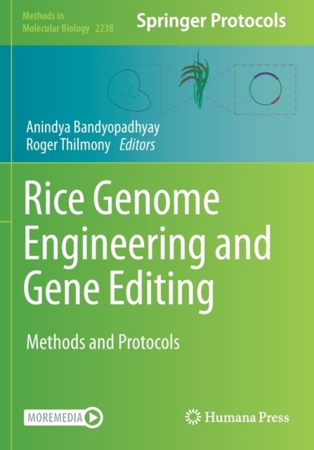 Rice Genome Engineering and Gene Editing