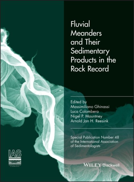 Fluvial meanders and their sedimentary products in  the rock record (IAS SP 48)