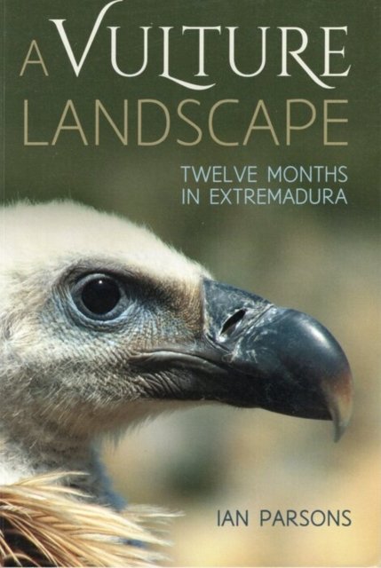 A Vulture Landscape