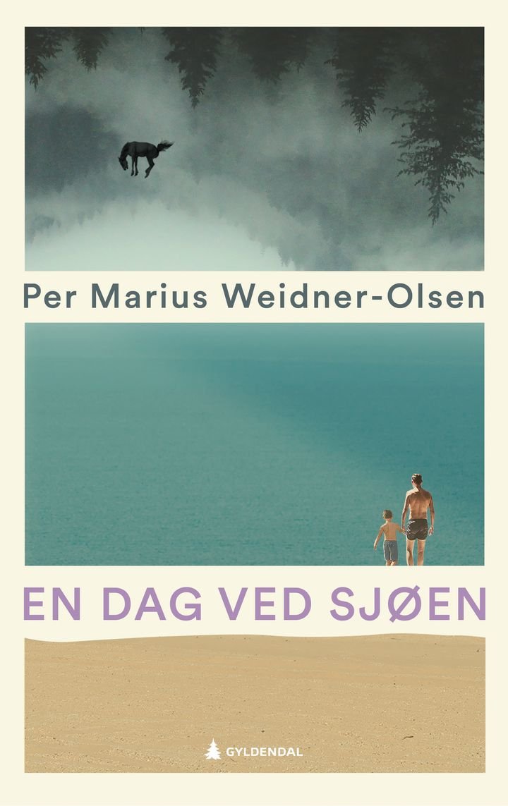 En dag ved sjøen - roman