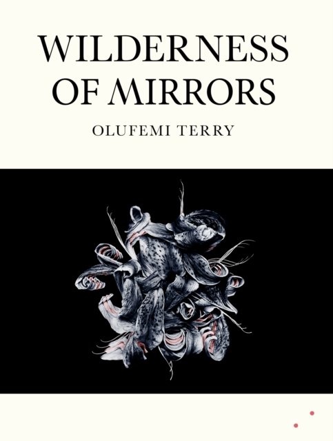 Wilderness of Mirrors