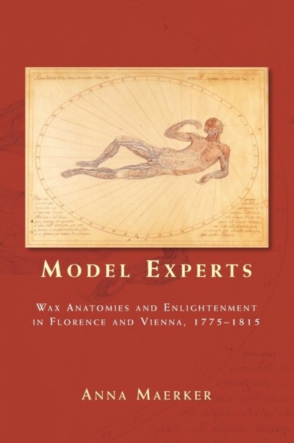 Model Experts