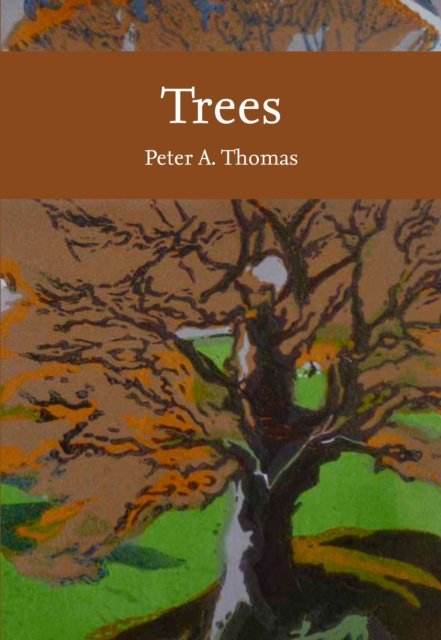 TREES_NN LIB145 PB