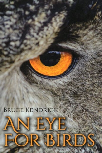 An Eye for Birds