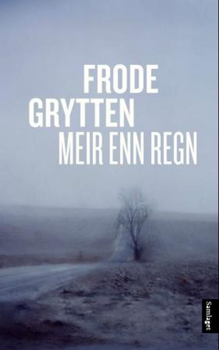 Meir enn regn - noveller