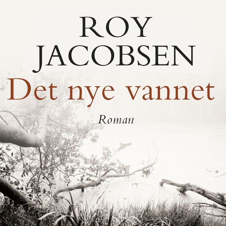 Det nye vannet