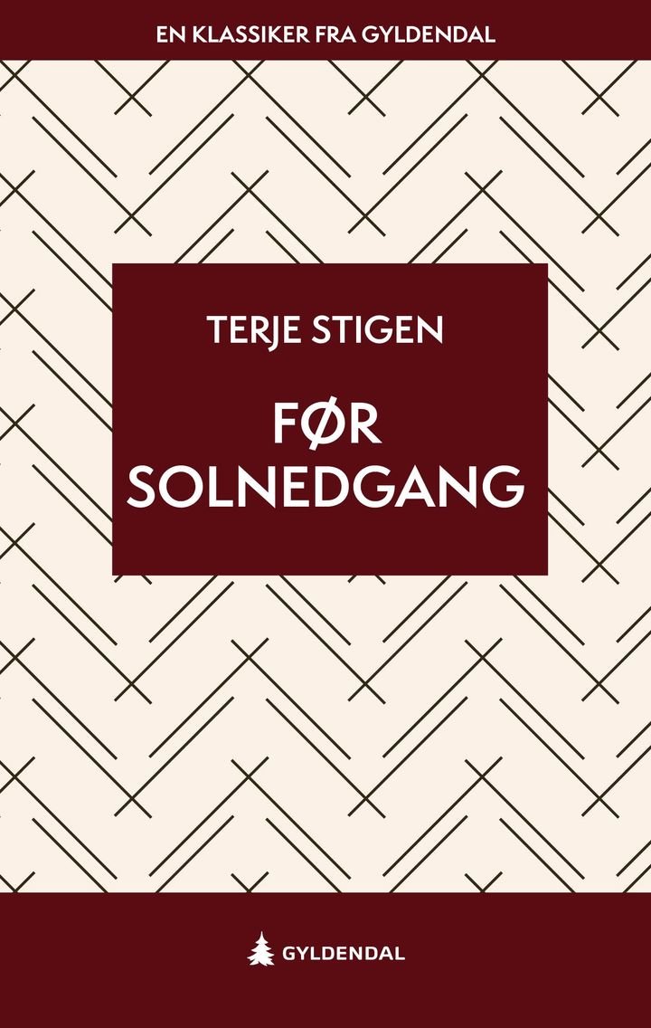 Før solnedgang - roman