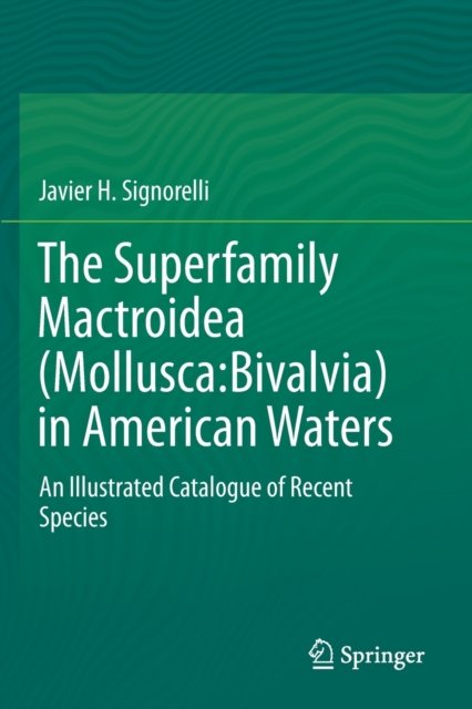 The Superfamily Mactroidea (Mollusca