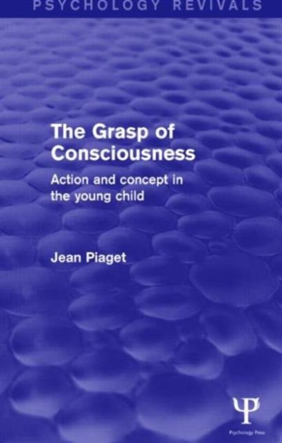 The Grasp of Consciousness