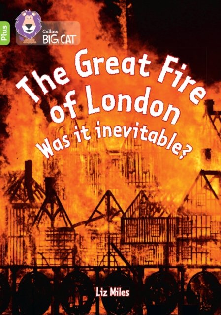 BIG CAT_GREAT FIRE INEVITABLE