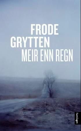 Meir enn regn - noveller