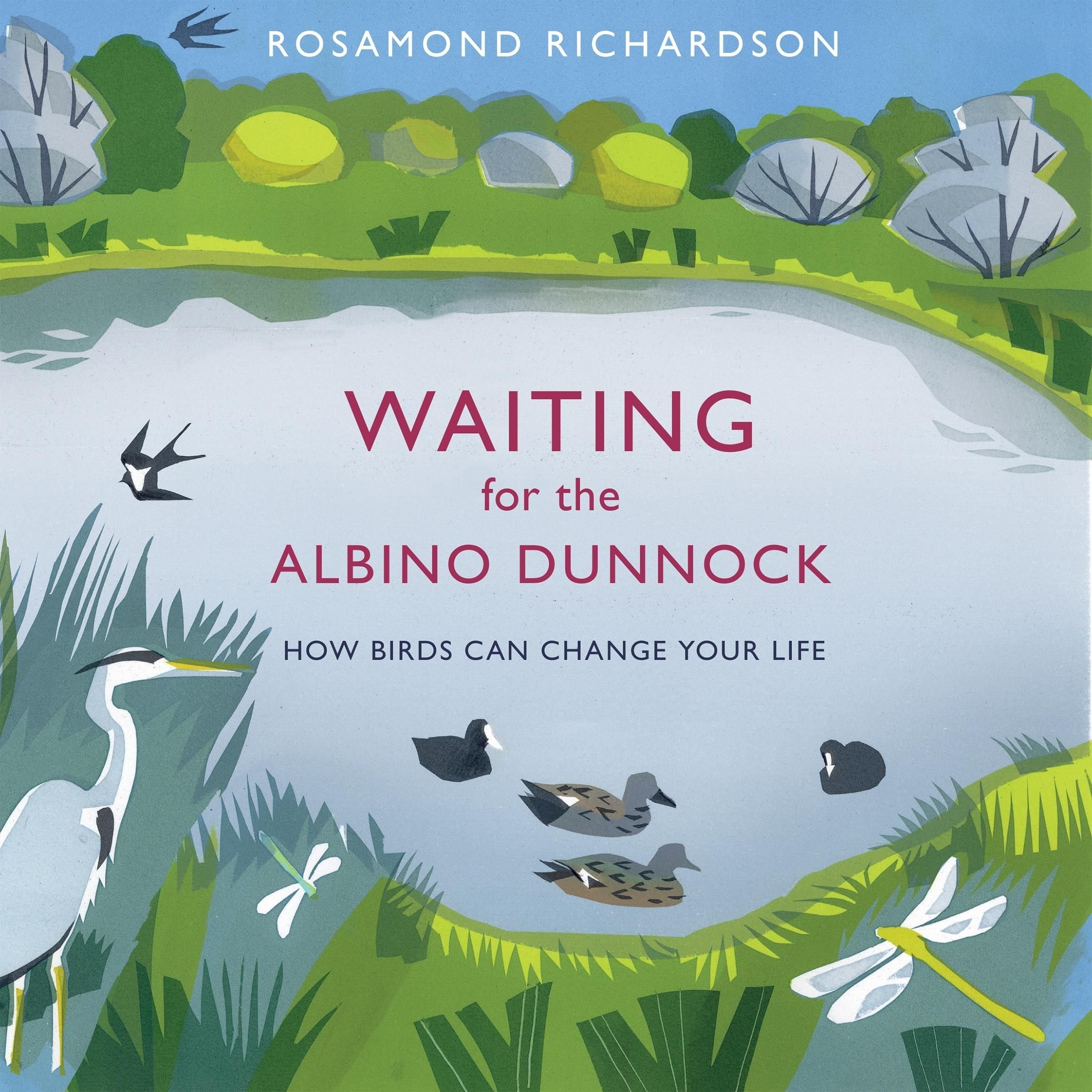 Waiting for the Albino Dunnock