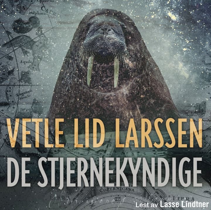 De stjernekyndige - roman