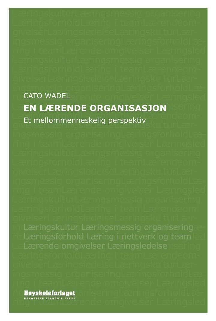 En lærende organisasjon - et mellommenneskelig perspektiv