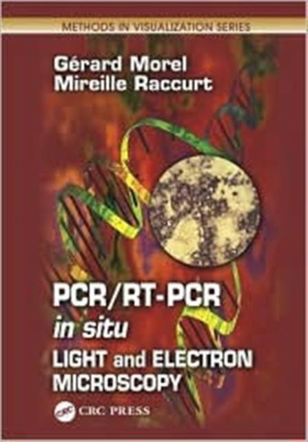 Pcr/Rt-Pcr in Situ