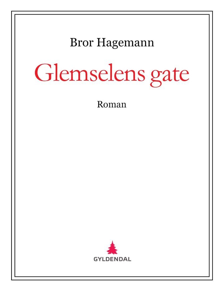 Glemselens gate - roman