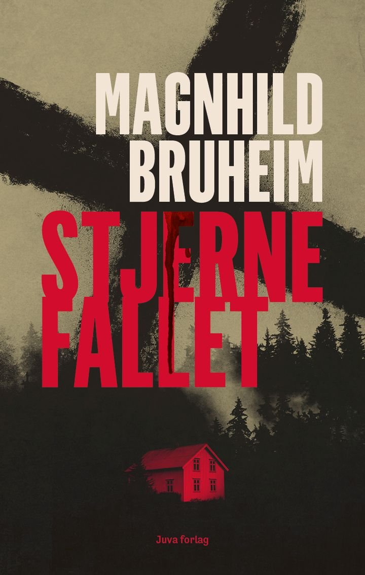 Stjernefallet - roman