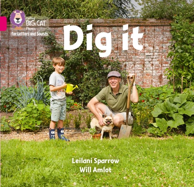 BIG CAT PHONICS - DIG IT