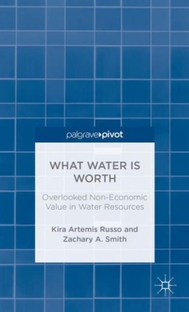 What Water Is Worth