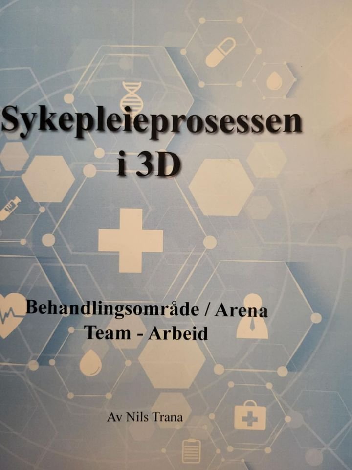 Sykepleieprosessen i 3D - behandlingsområde / arena, team, arbeid