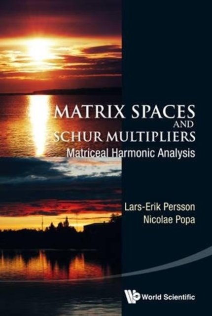 MATRIX SPACES & SCHUR MULTIPLIERS