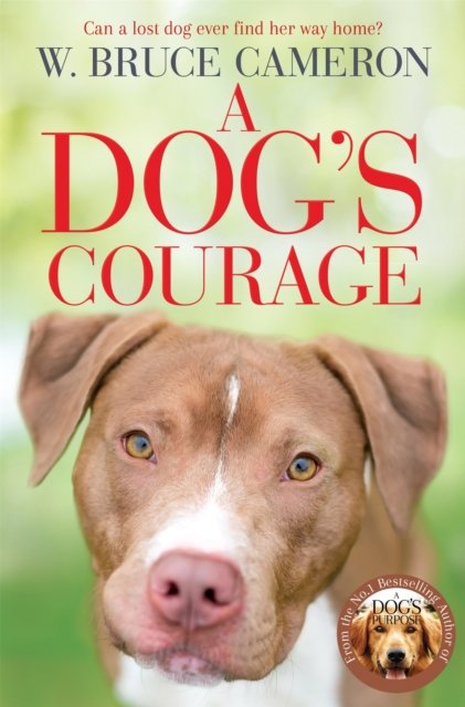 Dog''s Courage
