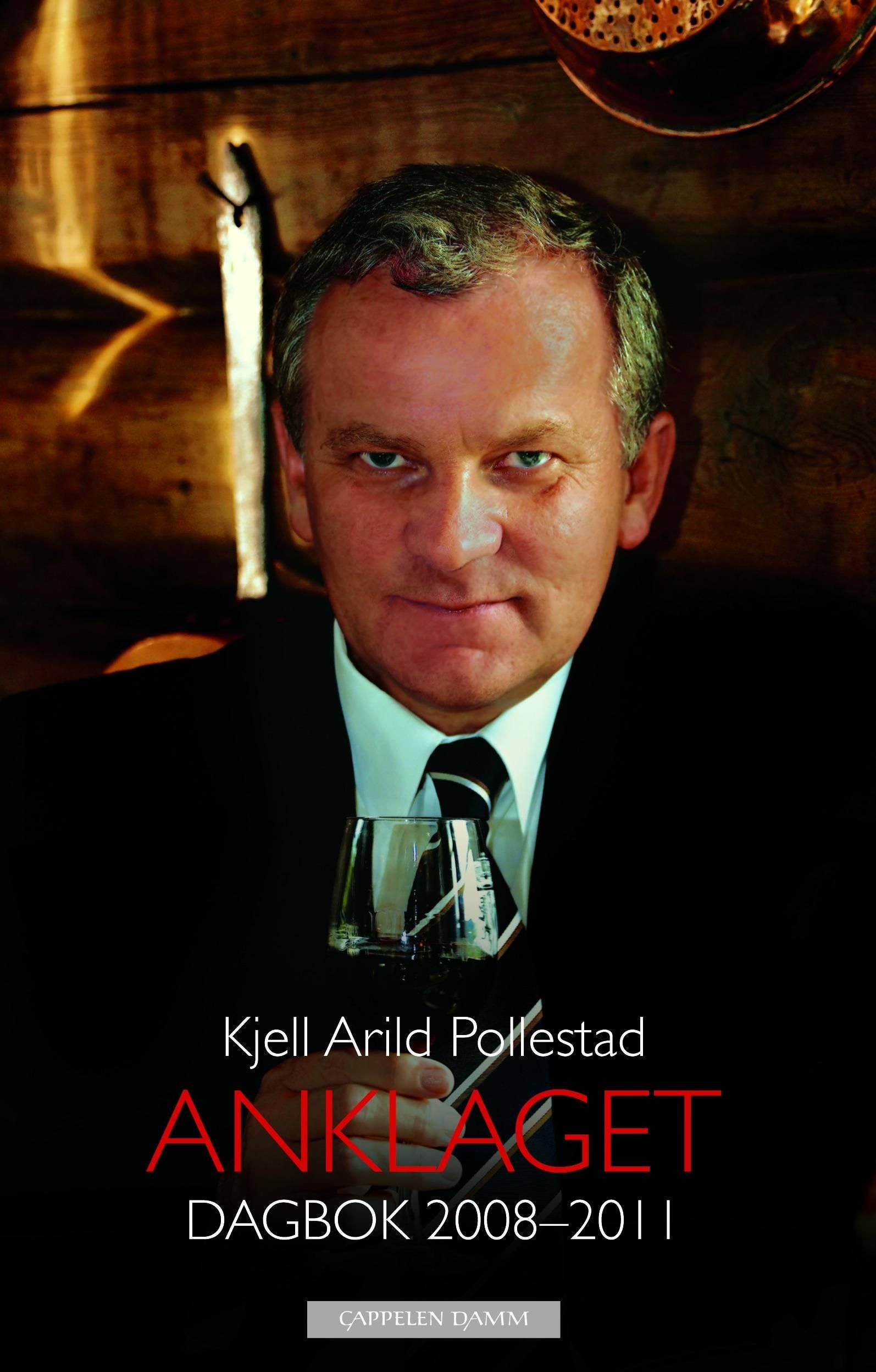 Anklaget - dagbok 2008-2011