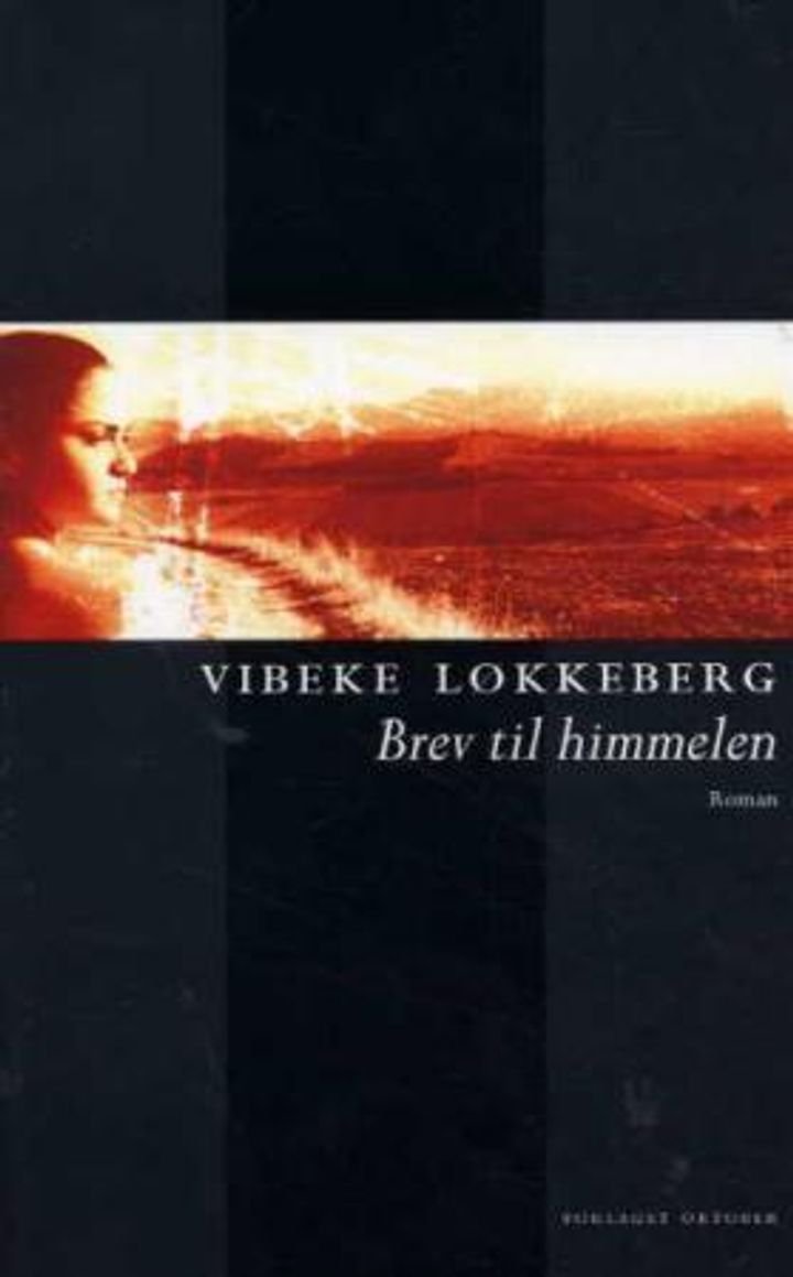 Brev til himmelen - roman