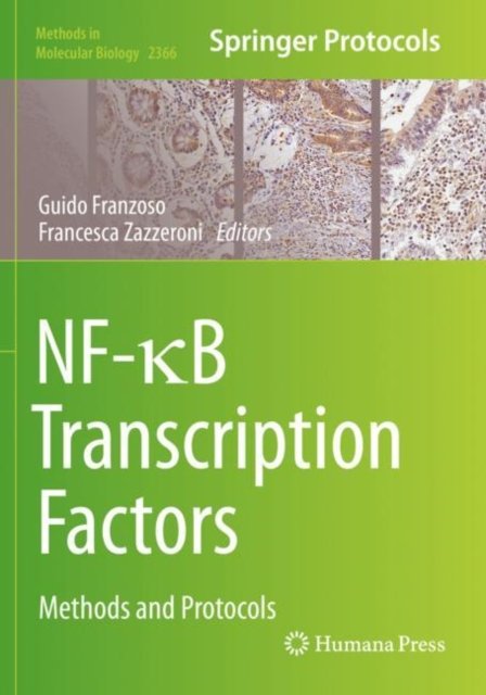 NF-?B Transcription Factors