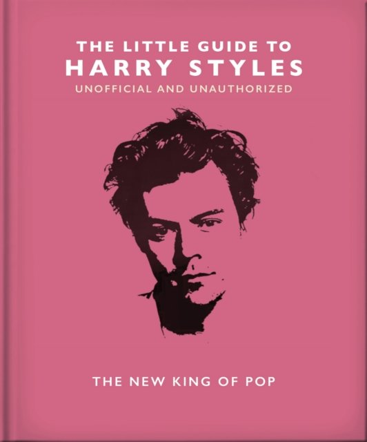 Little Guide to Harry Styles