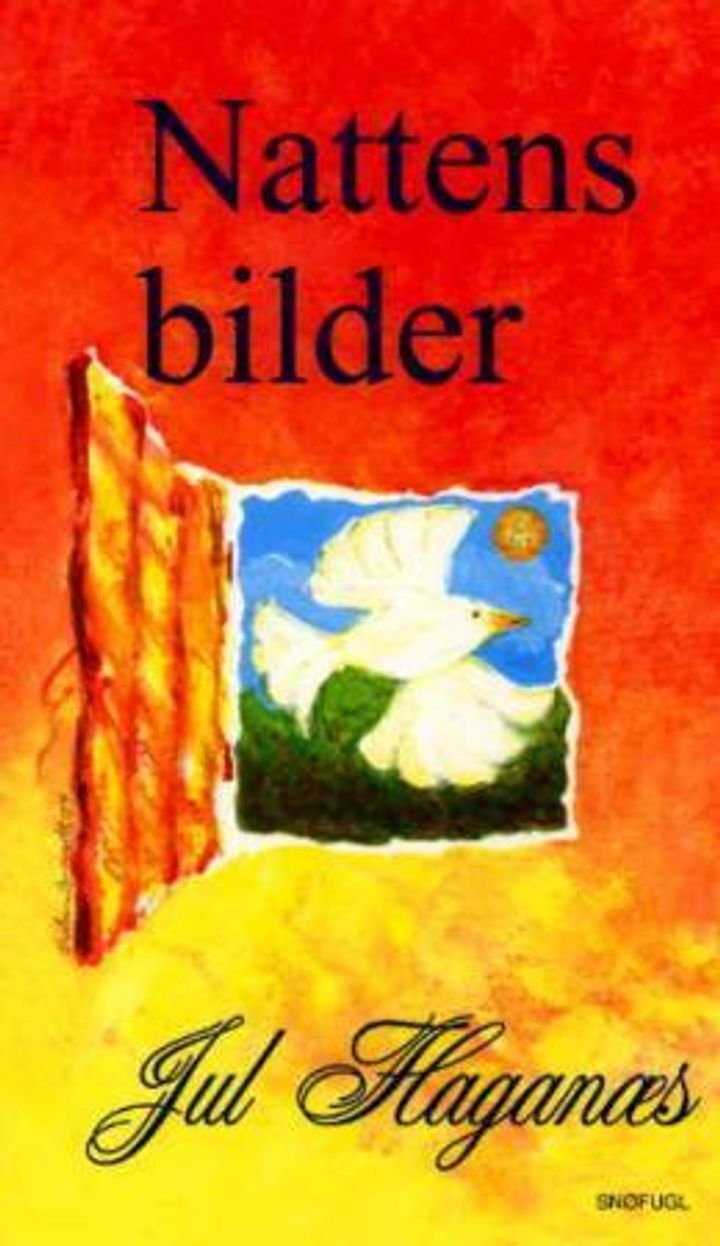 Nattens bilder - dikt
