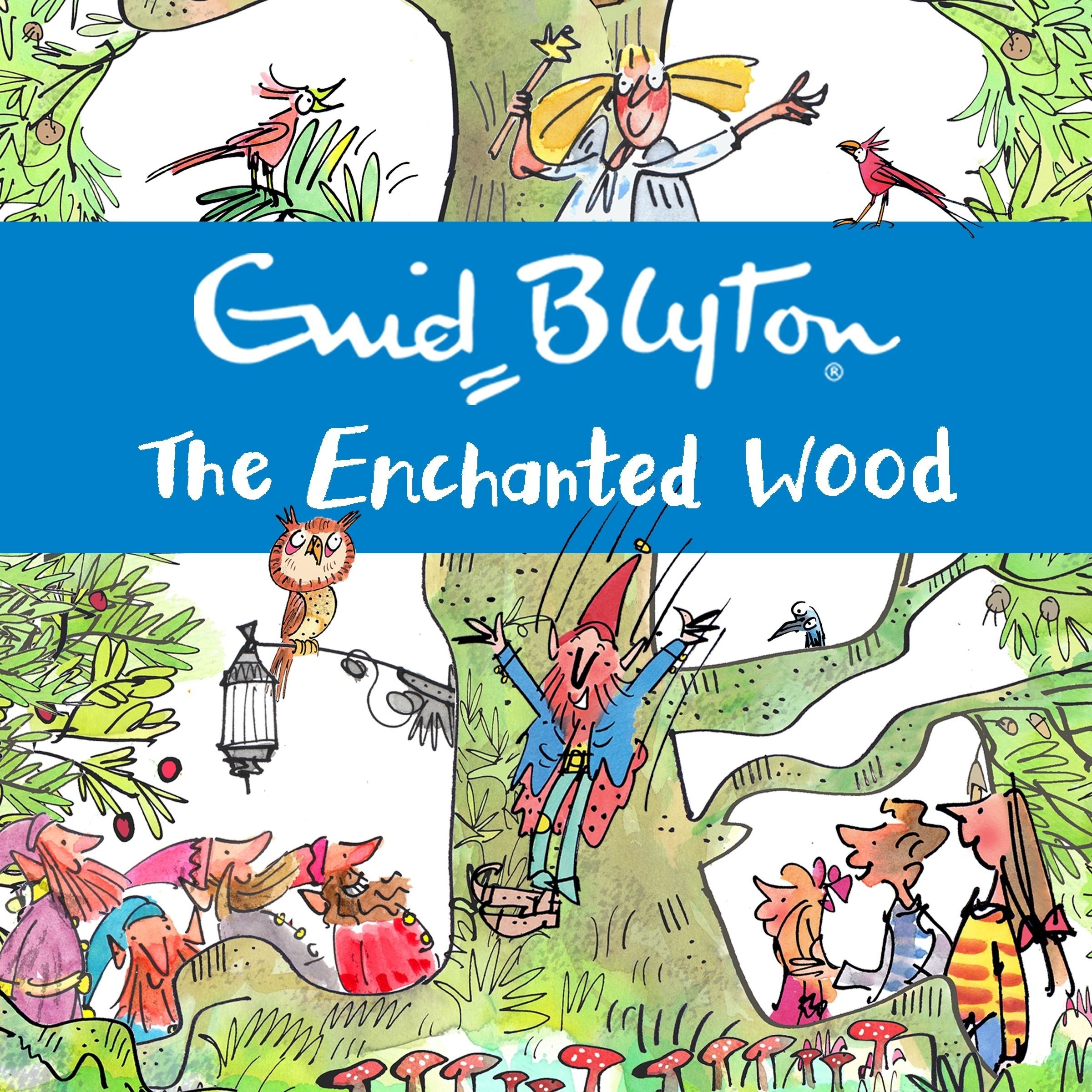 The Enchanted Wood