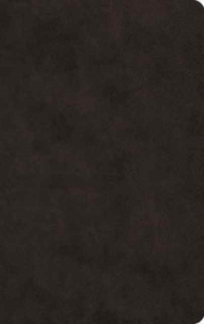 ESV Large Print Value Thinline Bible