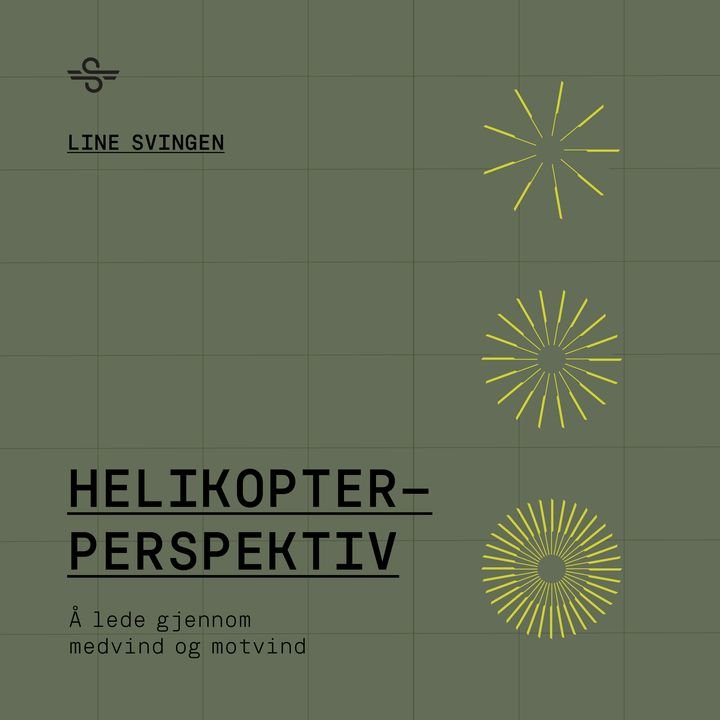 Helikopterperspektiv - å lede gjennom medvind og motvind