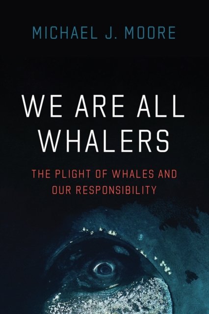 We Are All Whalers – The Plight of Whales and Our Responsibility