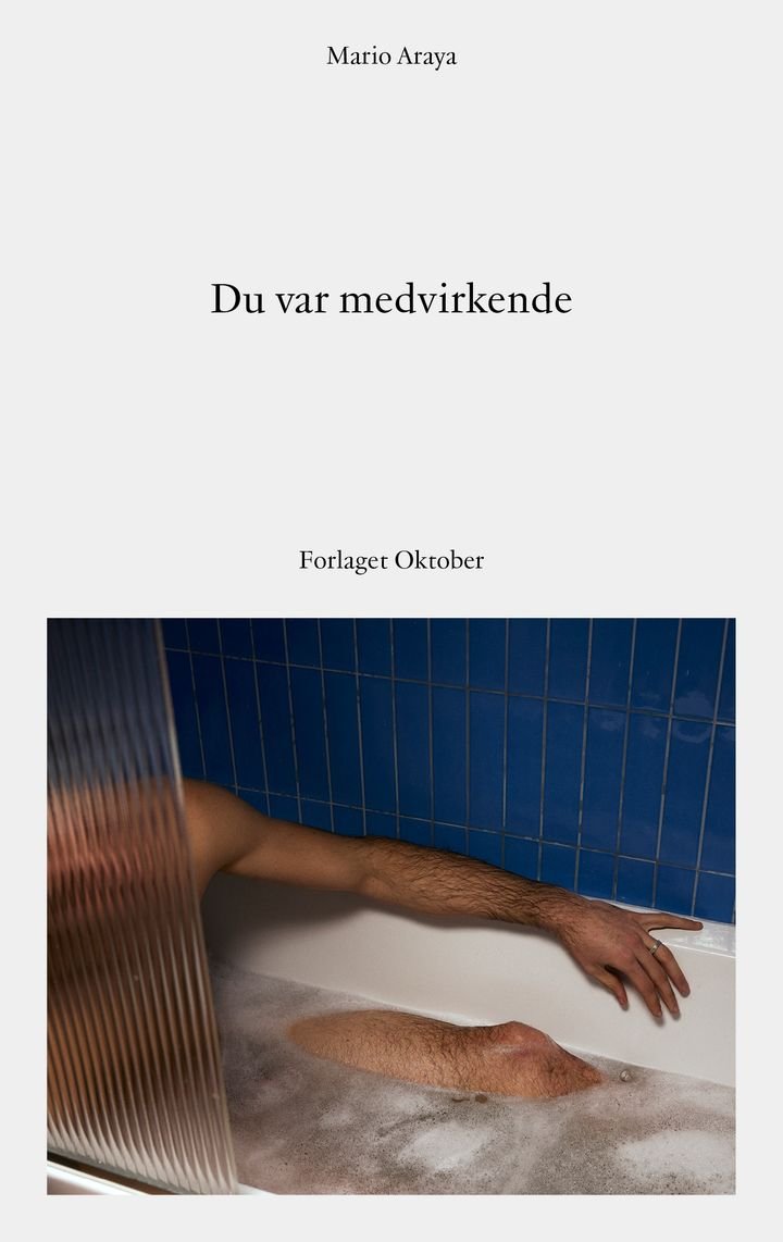 Du var medvirkende - noveller