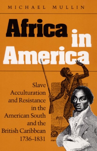 Africa in America