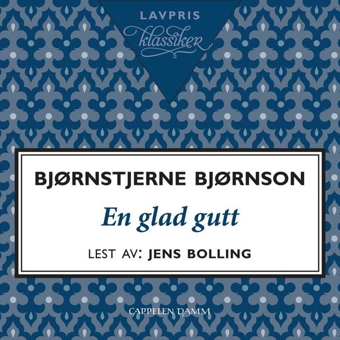 En glad gutt