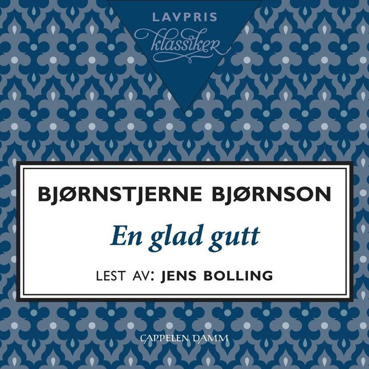 En glad gutt