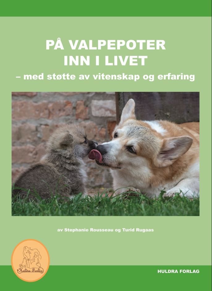 På valpepoter inn i livet