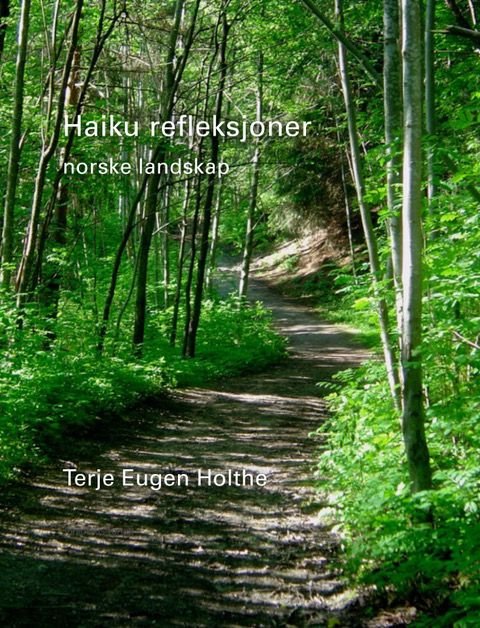 Haiku refleksjoner - norske landskap : haiku og foto 2009 til 2013