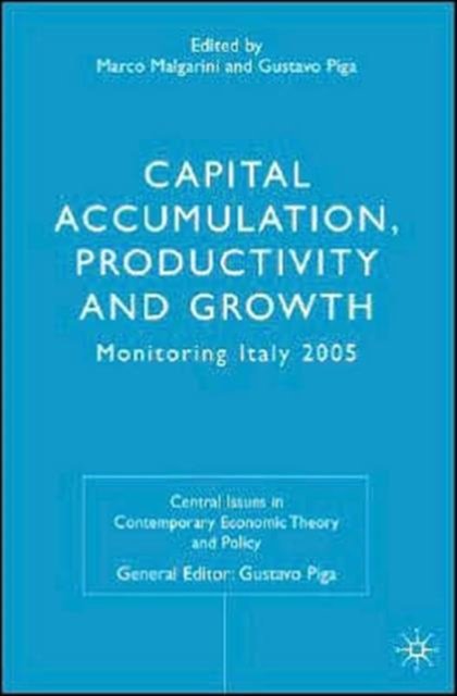 Capital Accumulation, Productivity and Growth