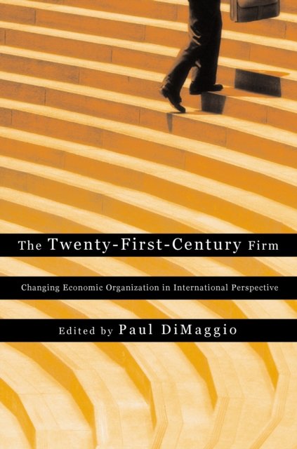 The Twenty–First–Century Firm – Changing Economic Organization in International Perspective