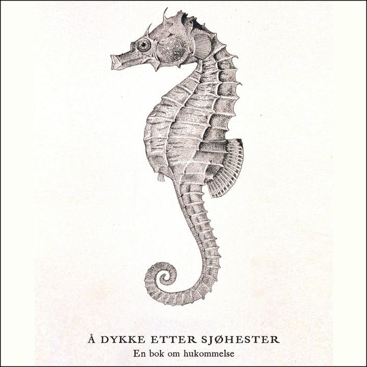 Å dykke etter sjøhester - en bok om hukommelse