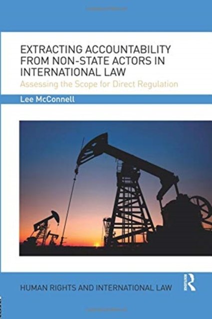 Extracting Accountability from Non-state Actors in International Law