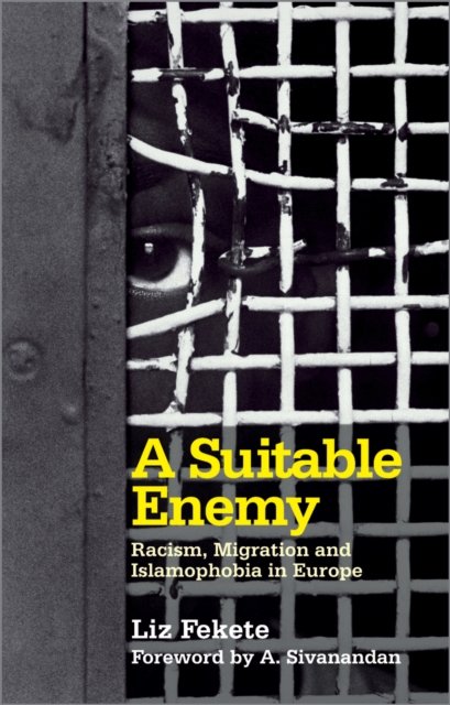 A Suitable Enemy